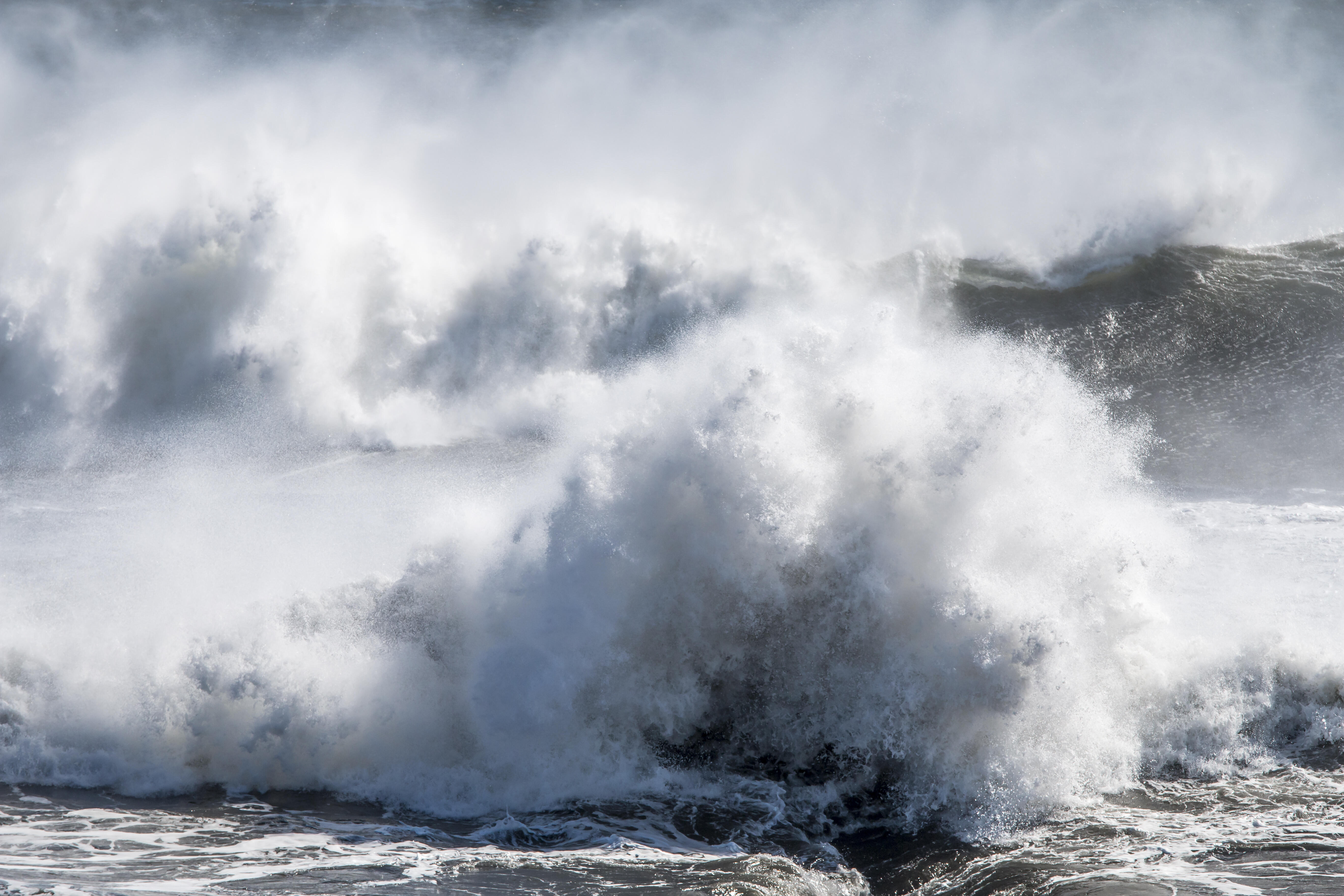 Woman Dies After Getting Hit By Large Wave And Log At Washington Beach ...