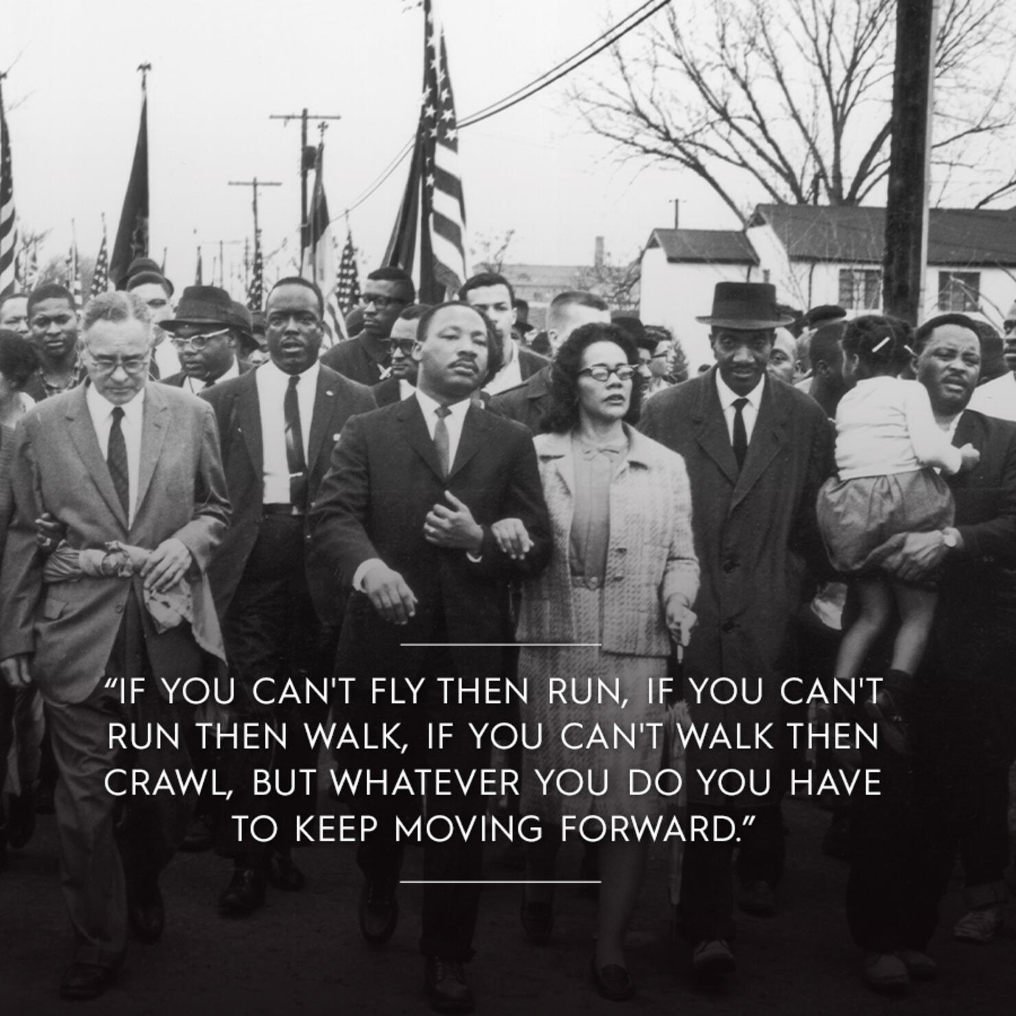  Martin Luther King Jr. MLK “If You Can't Fly Then Run, If You  Can't Run Then Walk, If You Can't Walk Then Crawl, but Whatever You Do You  Have to Keep