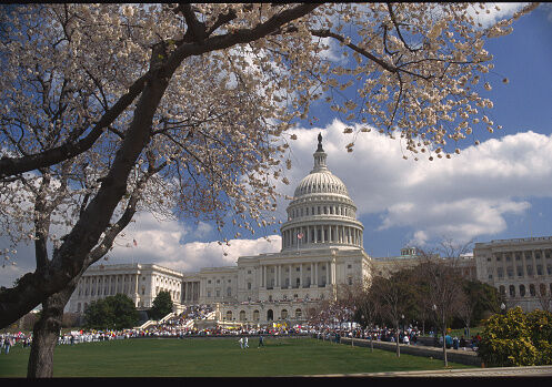 Photo: Getty Images