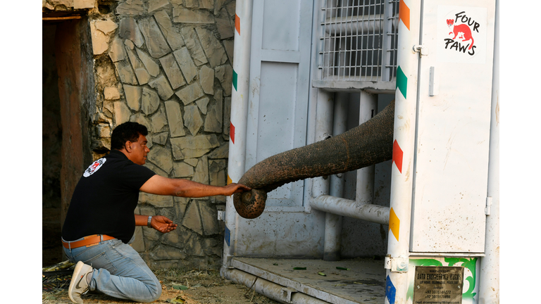 PAKISTAN-WILDLIFE-ELEPHANT-ZOO