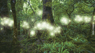 Fairy Legends / Sasquatch & UFOs