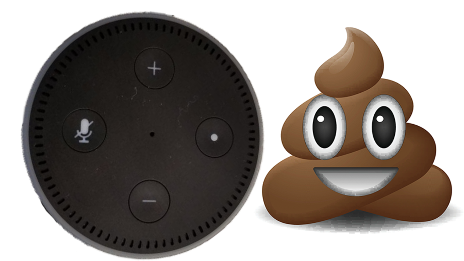Centimeter myg Seletøj Telling Alexa You Pooped Gets A Hilarious Response | iHeart