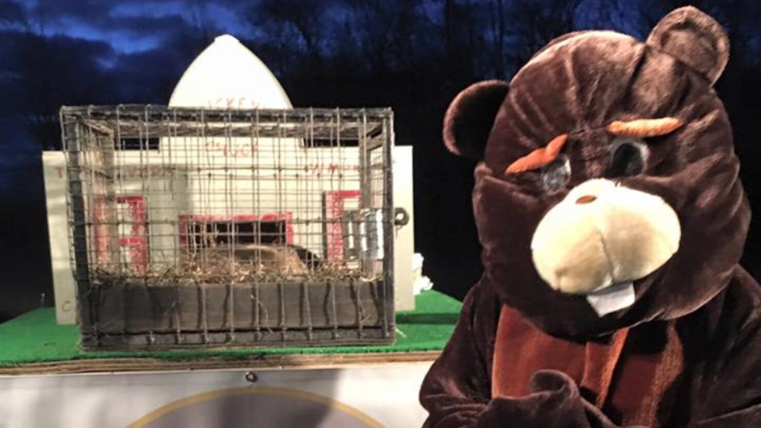 Buckeye Chuck Is Going Virtual For 41st Annual Groundhog Day | iHeart