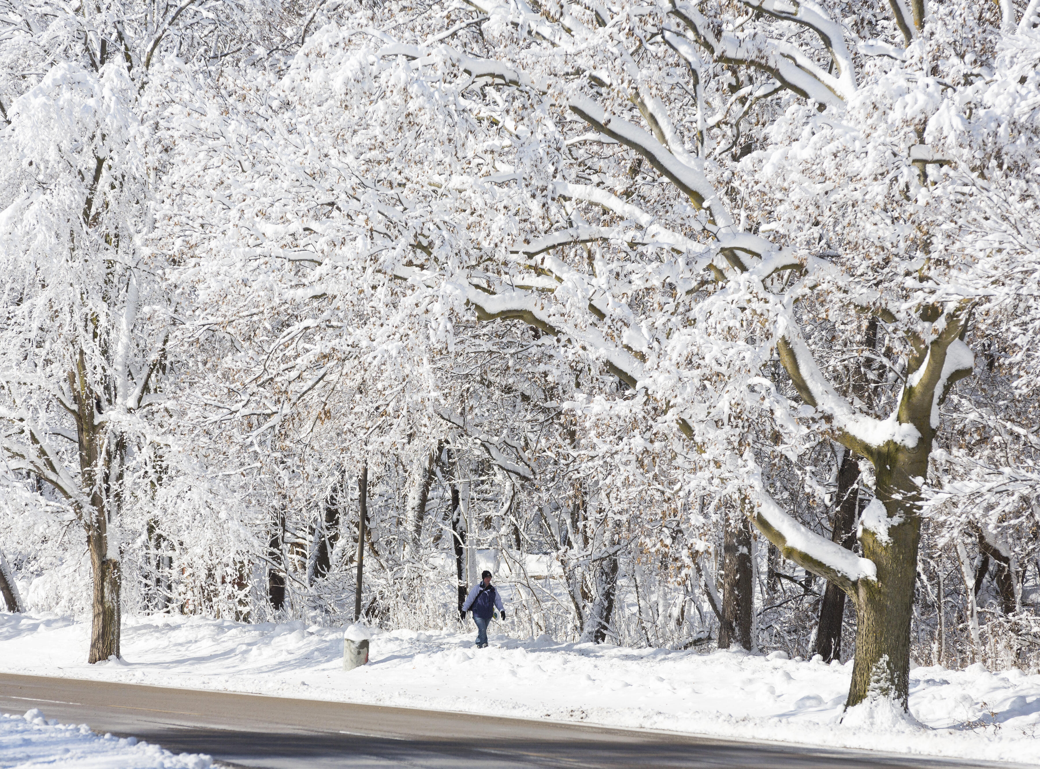 Какая погода будет зимой. Фото хорошей зимней погоды. Зимняя погода фото на рабочий стол. Зима погода мультимедийная. Madison, Wisconsin in Winter.