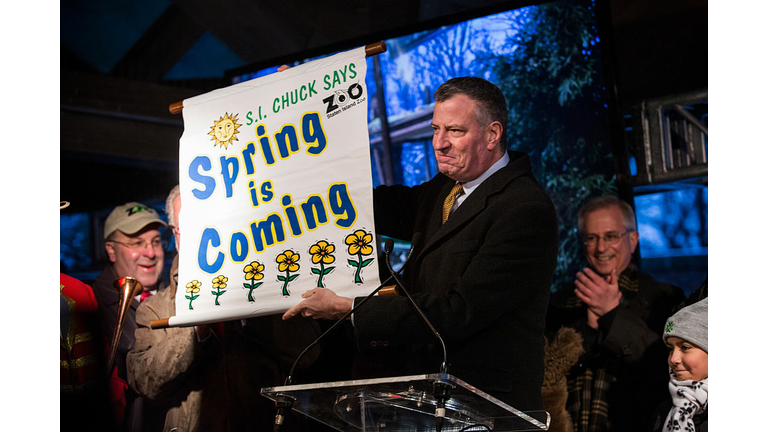 Staten Island Chuck Looks For His Shadow On Groundhog Day