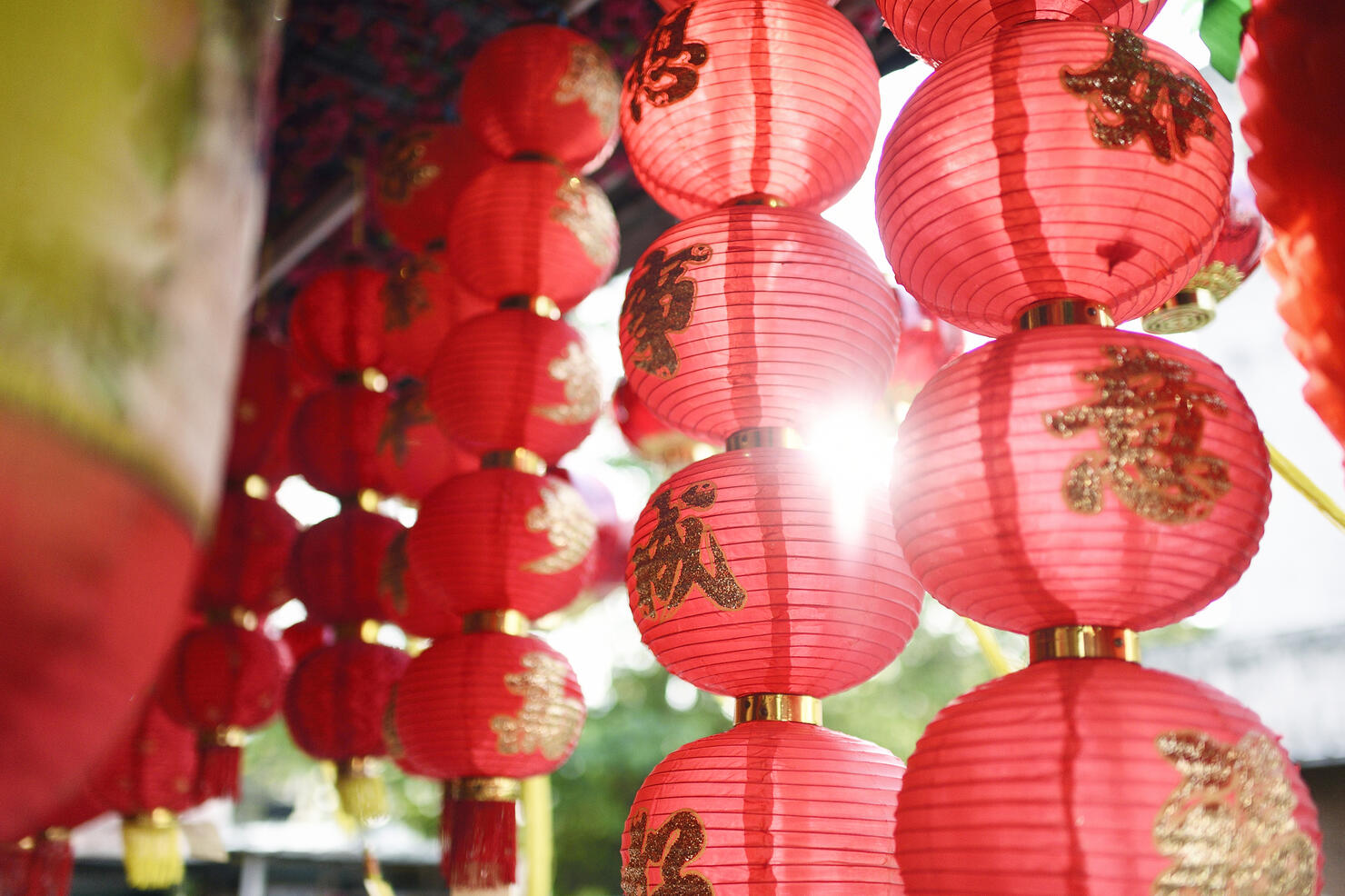 Check Out These 5 Events To Celebrate The Lunar New Year In Seattle