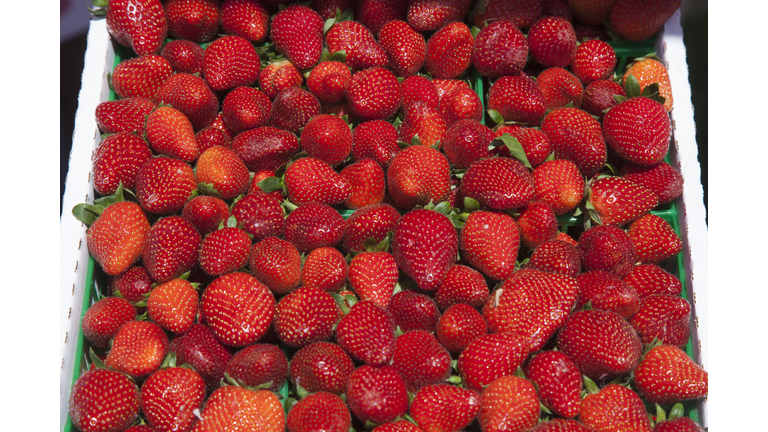Strawberries at Strawberry Festival, Ponchatoula. (Getty Images)