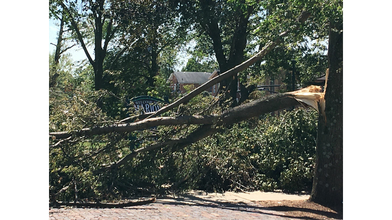 Marion Derecho storm damage photo by Wendy Wilde