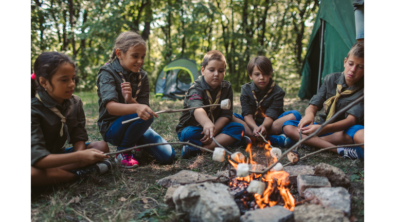 Group Of Scouts Roast Marshmallow Candies On Campfire In Forest