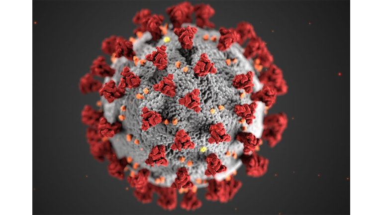 Covid-19 virus from U.S. Centers for Disease Control 
