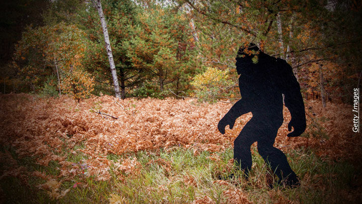 Bigfoot Legislation