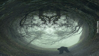 Behind-the-Scenes at 60 Minutes / Supernatural Manifestations