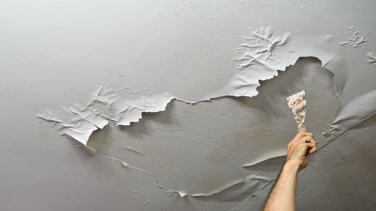 Man´s hand holding a spatula in his hand, pointing to the ceiling in which the paint has been peeled off by moisture. Plumbing work at home