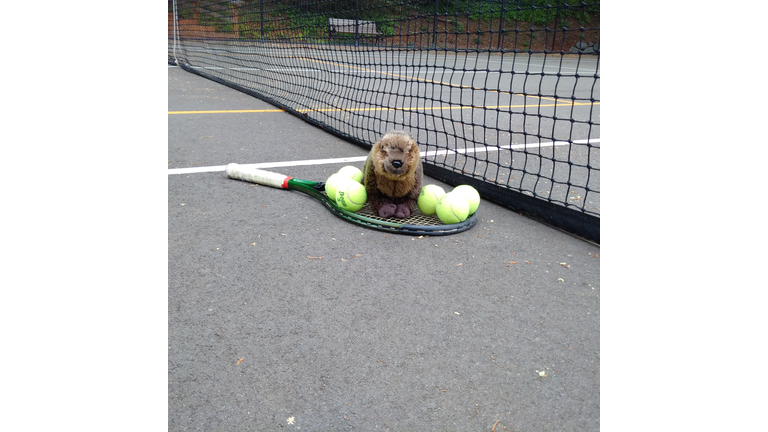 Check out my balls...and racket.  Look out Serena!