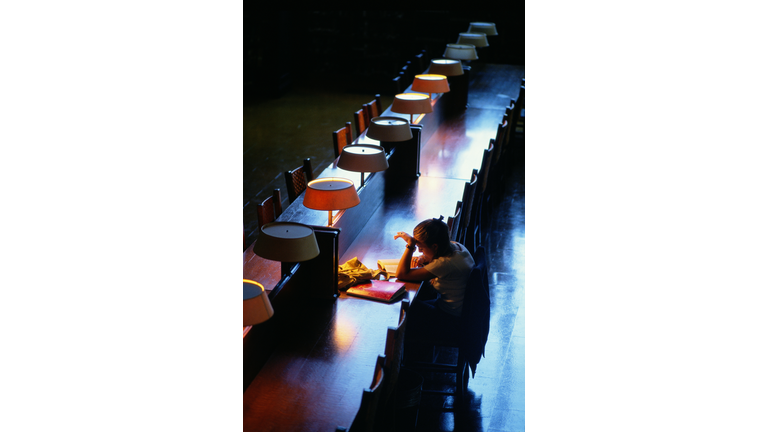 VASSAR COLLEGE LIBRARY IN POUGHKEEPSIE, NEW YORK