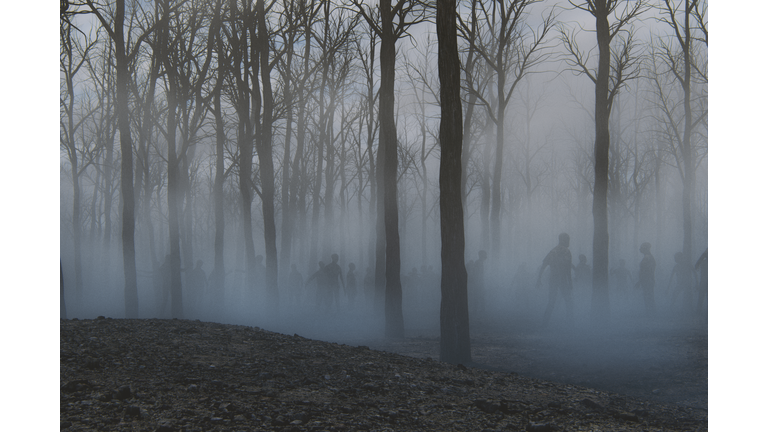Spooky foggy forest full of walking dead zombies