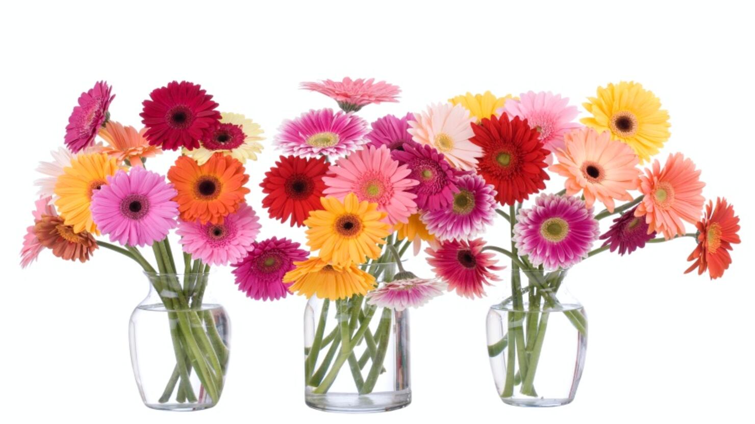 Daisy Bouquet