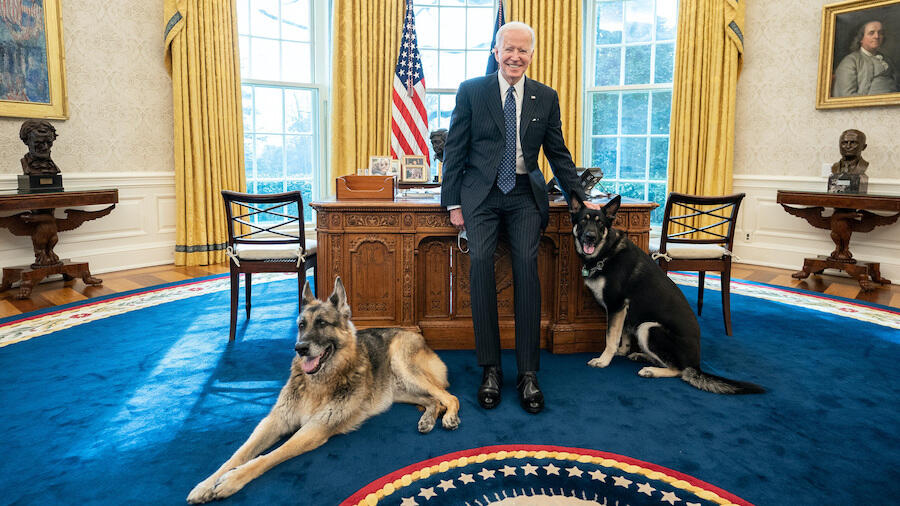 President Biden's Dogs Removed From The White House ...