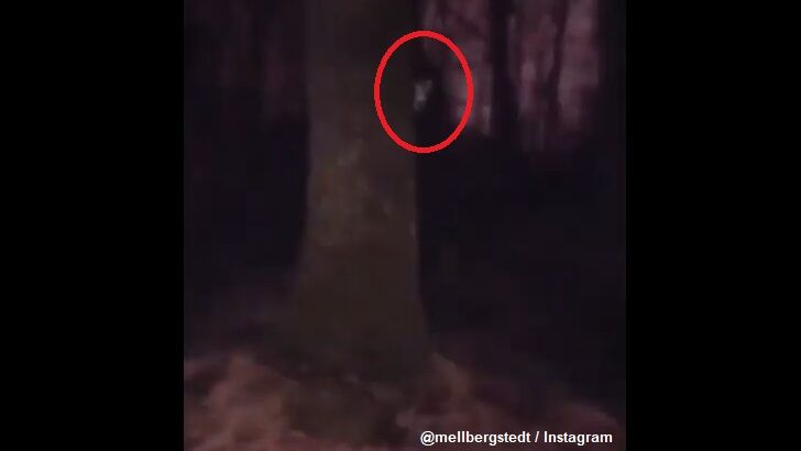 Eerie 'Figure' Filmed in Swedish Forest