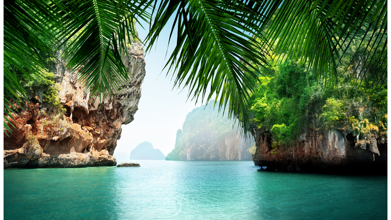 tropical sea and rocks