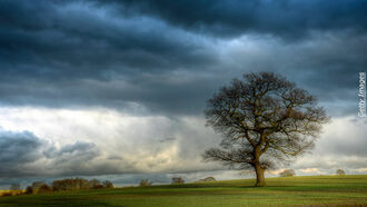 Climate Change Theories / Afterlife Communications