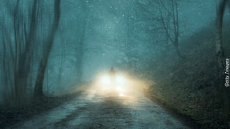 Seven Life Principles / Parasites & Poltergeists