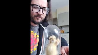 Video: Stuffed Three-Headed Duckling Mysteriously Sent to Canadian Man