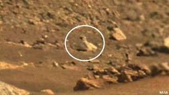 Video: 'Baby Penguin' Spotted on Mars