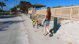 Watch: Robot Dog Spotted on Beach Walk