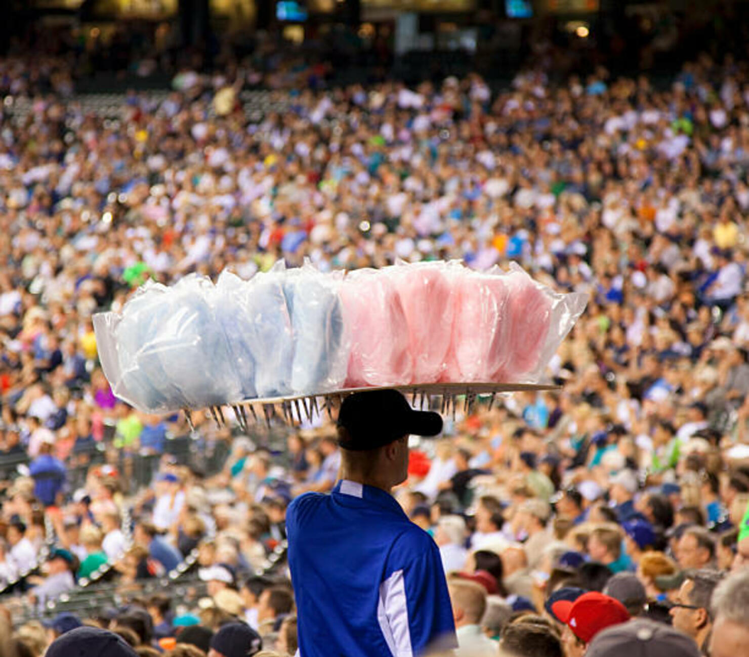 What Do Physicists Enjoy Doing The Most At Baseball Games