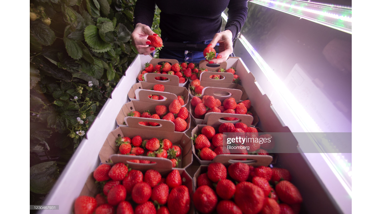 Getty Images 