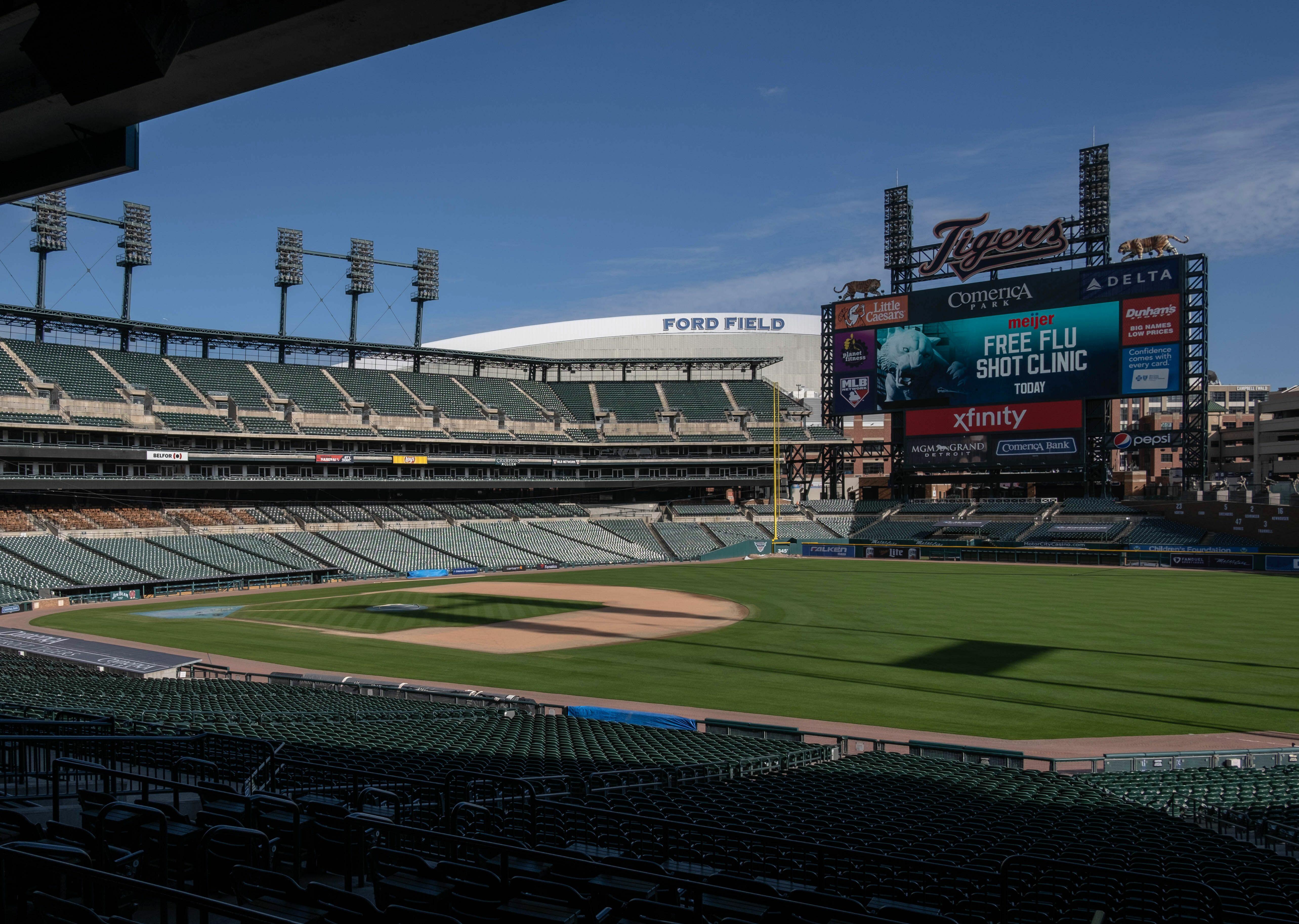 Tigers fans bring dogs to the ballpark