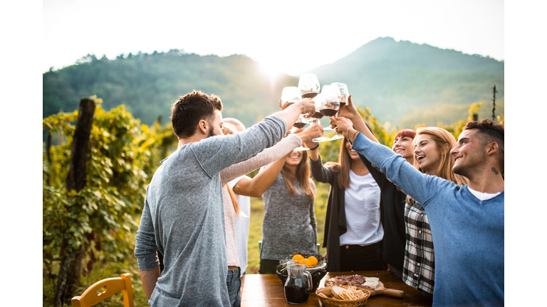 friends doing a wine tasting