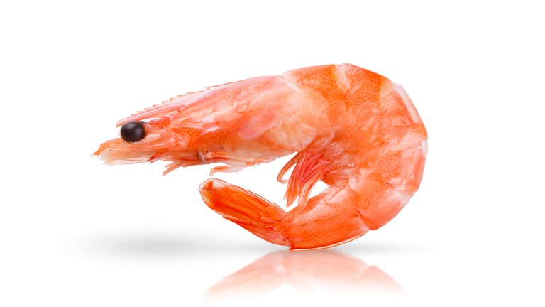 One tasty fresh red boiled cooked shrimp isolated on white background