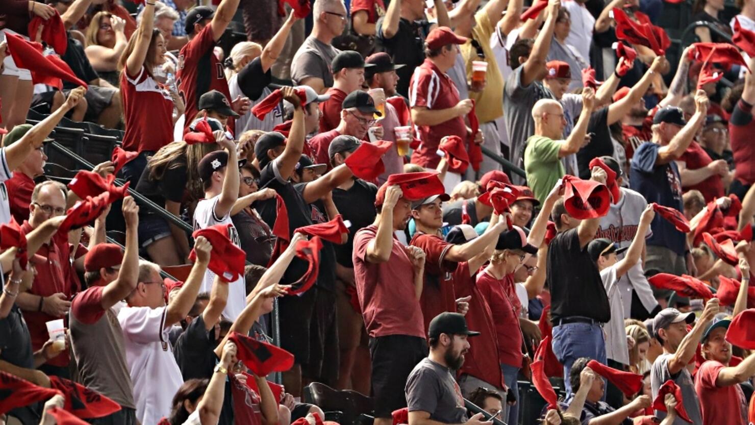 arizona diamondbacks fans