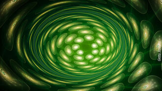 Gun Rights / Alien Encounters