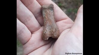 Video: Fossilized Bigfoot Thumb Found?