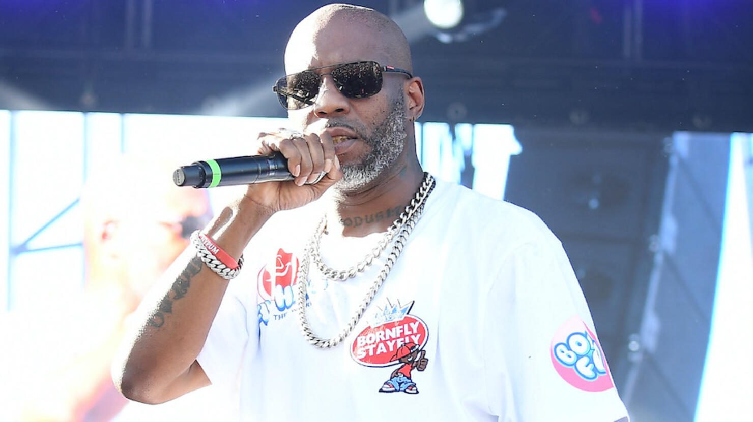 DMX checks into rehab, canceling concerts