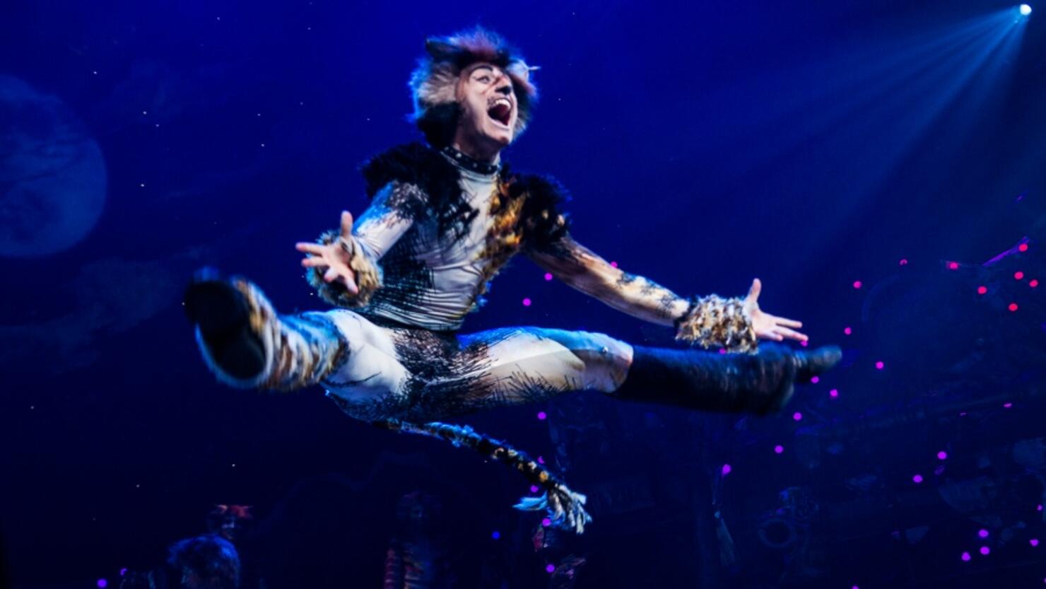 The First-Ever Revival of Andrew Lloyd Webber's Iconic CATS Opens on Broadway