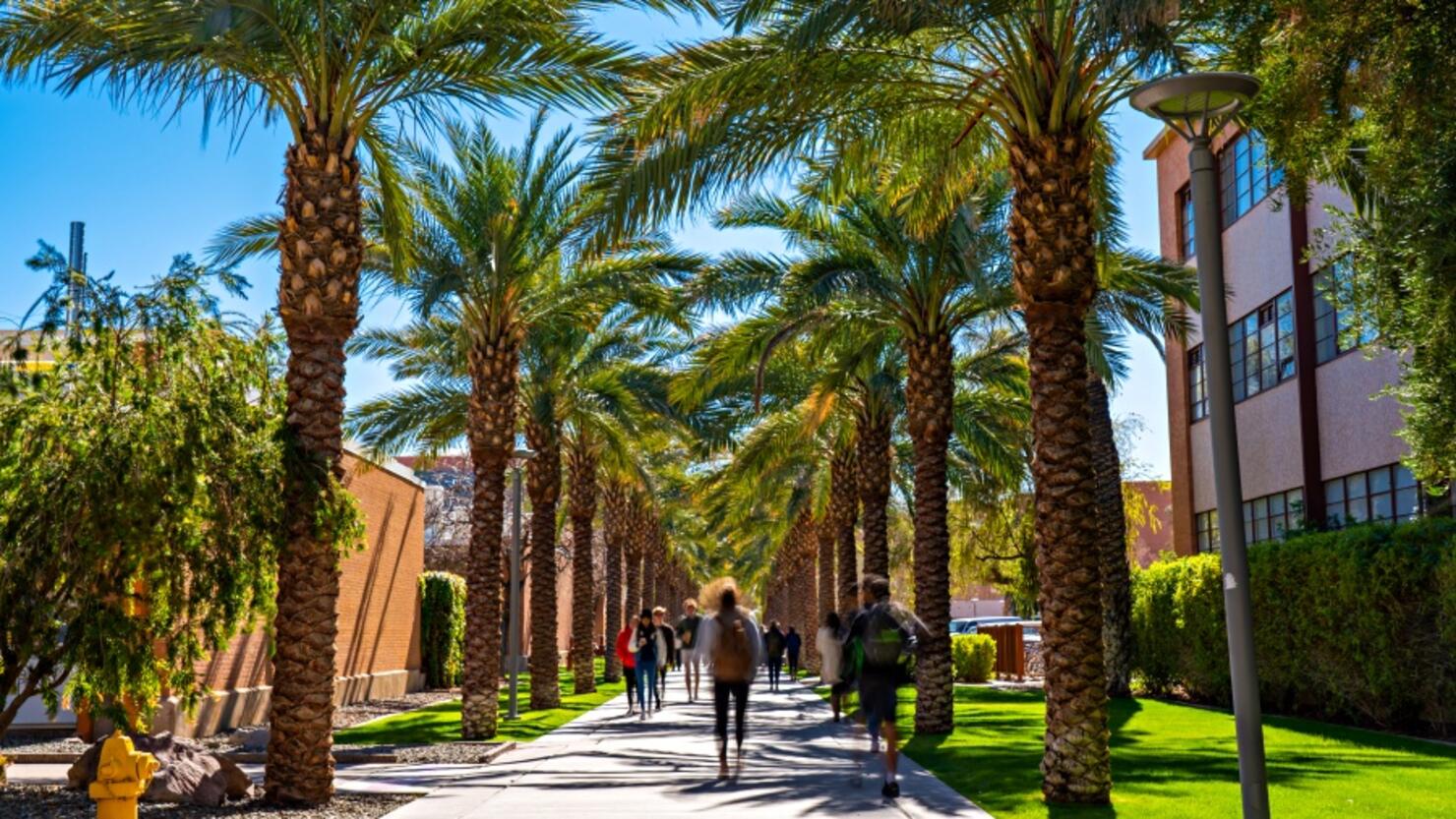 Palm Walk in ASU Tempe Campus