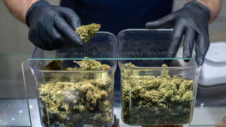 3,000 Pounds Of Marijuana Seized At Illegal Spring Valley Dispensary