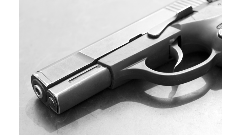 B&W Semi-Automatic Handgun Pistol