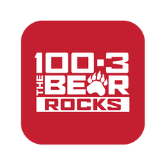 The Bear