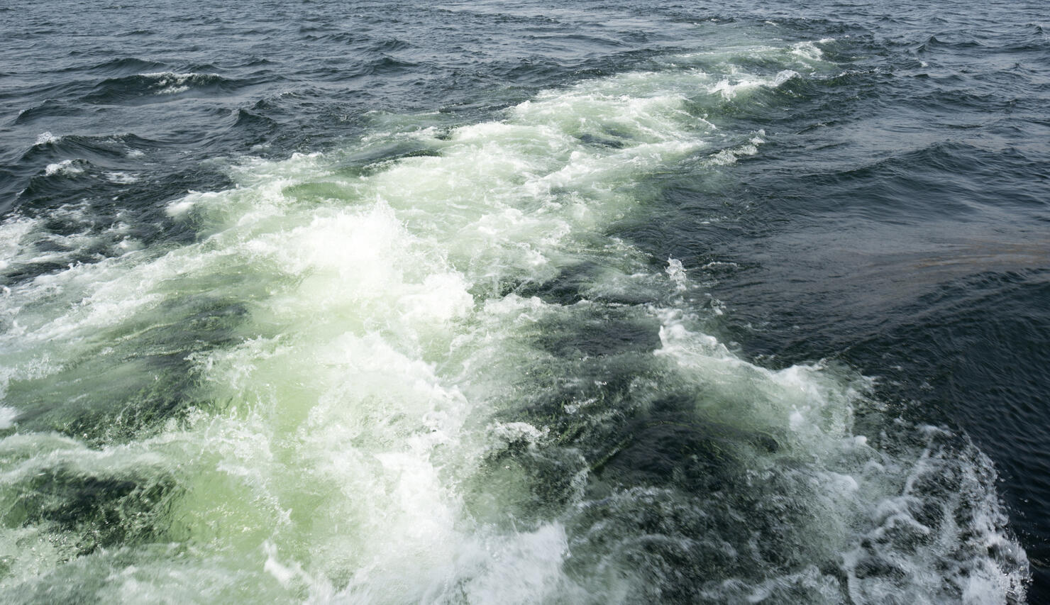 Water wave curve