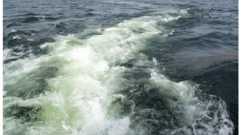 Water wave curve