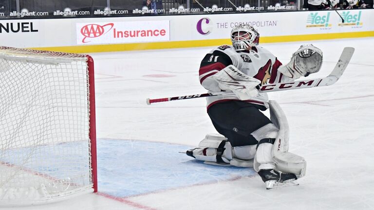 Arizona Coyotes v Vegas Golden Knights