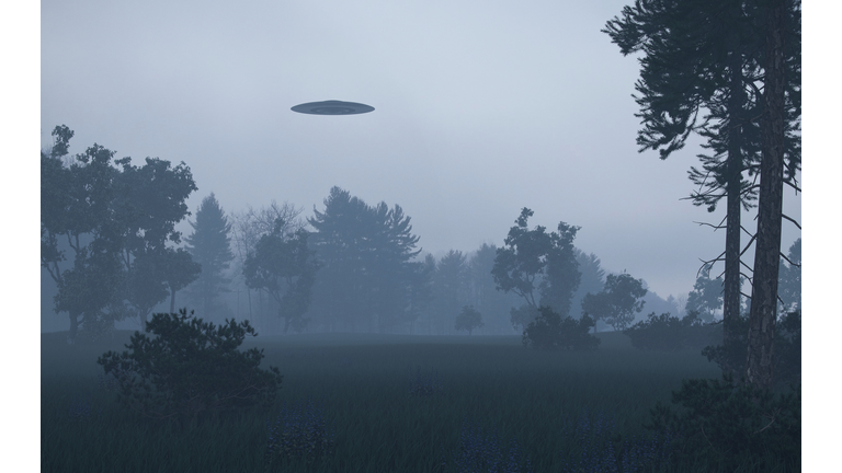 Ufo over trees