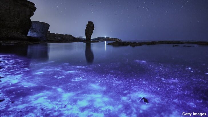 Video: Breathtaking Bioluminescent Algae Filmed in Australia