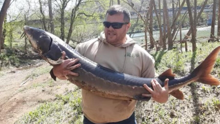 Man Catches 30 Year Old Fish In East Tennessee River IHeart   6079d907f88509c901c4bc83