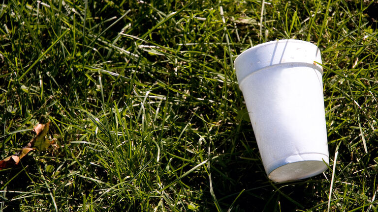 A styrofoam cup on the grass representing litter